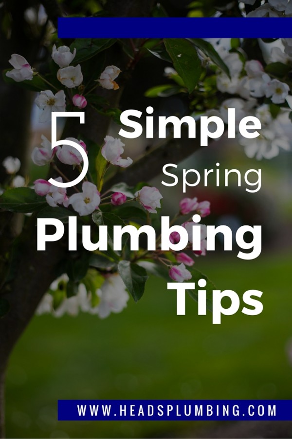 Spring Plumbing Tips Head